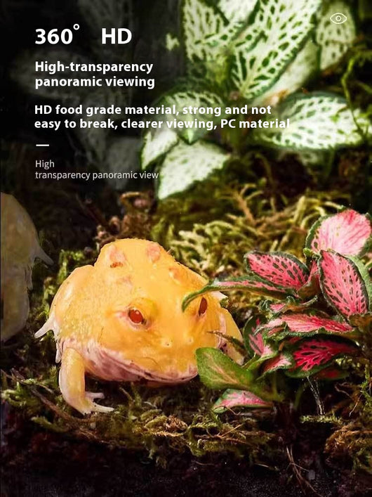 Caja de Alimentación para Reptiles con Alta Permeabilidad Acrílica - Image 16