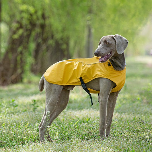 Impermeable para Mascotas Talla Mediana y Grande - Portátil y Universal - Image 13