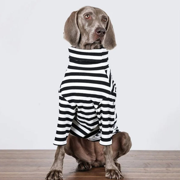 Ropa para Perros Grandes - Chaleco Delgado Transpirable