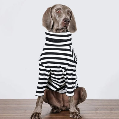 Ropa para Perros Grandes - Chaleco Delgado Transpirable