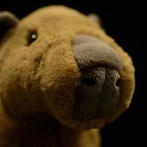Peluche Capibara Realista - Juguete de Simulación Suave