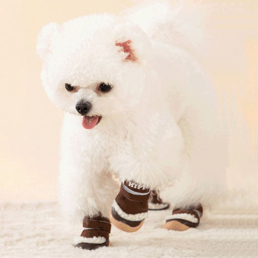 Botas Impermeables para Perros - Protección Antideslizante para Nieve y Lluvia - Image 10