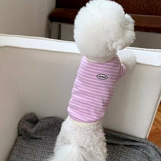 Ropa Cómoda de Rayas para Perros Pequeños - Image 9