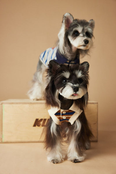 Polo Rayado para Perros Tony Bear - Ropa Cómoda y Elegante - Image 27