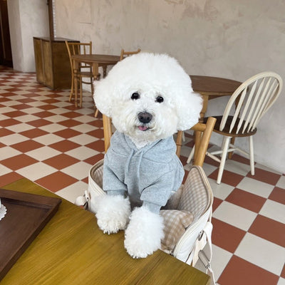 Suéter con Capucha para Perros Pequeños y Gatos