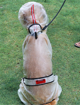 Impermeable Resistente para Perros Grandes - Image 16