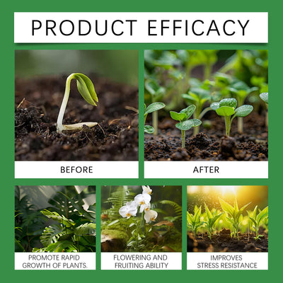 Solución Nutritiva Hidropónica Dual A&B para Flores y Plantas sin Suelo - Image 15