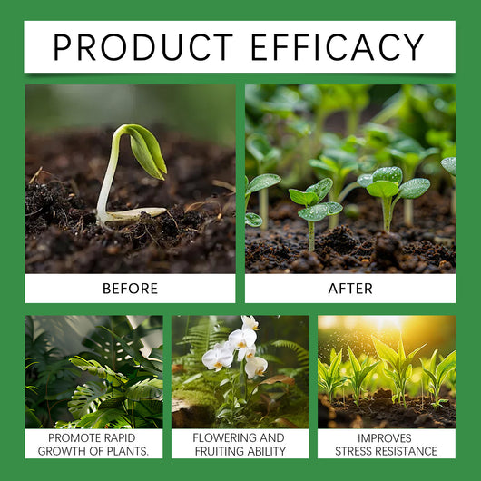 Solución Nutritiva Hidropónica Dual A&B para Flores y Plantas sin Suelo - Image 15