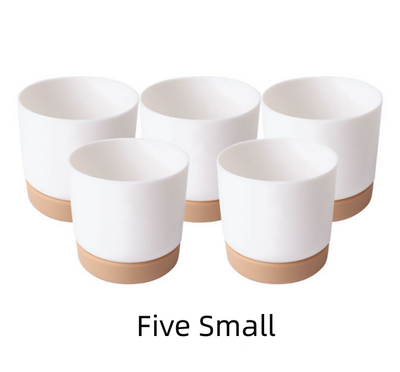 Maceta de Plástico Blanca con Drenaje Automático para Suculentas - Image 8