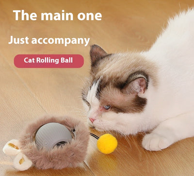 Juguete Interactivo para Gatos - Bola Rodante Automática - Image 9