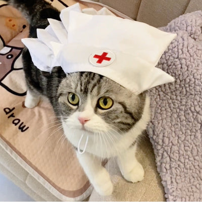 Conjunto de Vestido para Gato Personalizado y a la Moda - Image 8