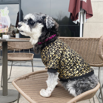 Ropa de Verano para Perros con Acabado Dorado Brillante - Image 8