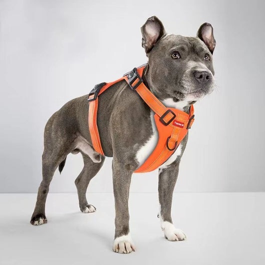 Arnés de Pecho con Cuerda de Tracción para Perros Pequeños, Medianos y Grandes - Image 26