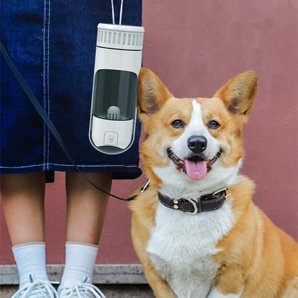 Bebedero Portátil para Perros - Taza de Viaje