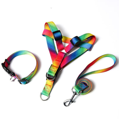 Arnés Colorido con Correa para Perros - Diseño Creativo y Seguro - Image 6