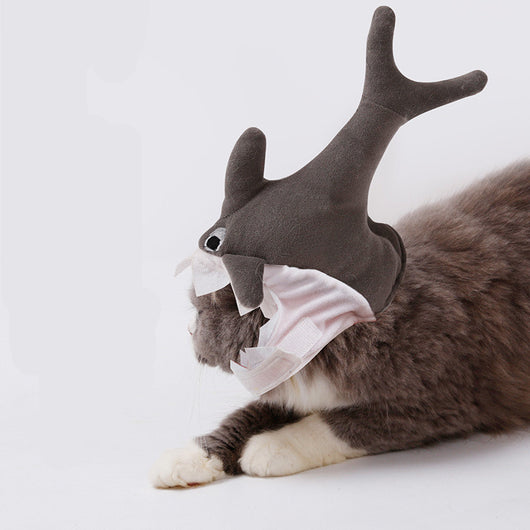 Gorro Tiburón para Mascotas - Disfraz Adorable de Transformación - Image 2