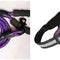 Morado XS