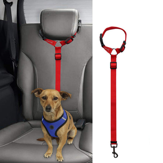 Correa de Seguridad para Mascotas en Auto - Image 13