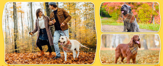 Pañuelo Clásico a Cuadros para Perro con Borlas - Accesorio Elegante para Otoño - Image 19