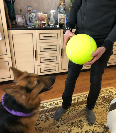 Large 8.5 inch (21.5 cm) yellow tennis ball, ideal for pet play or dog training. - Image 20