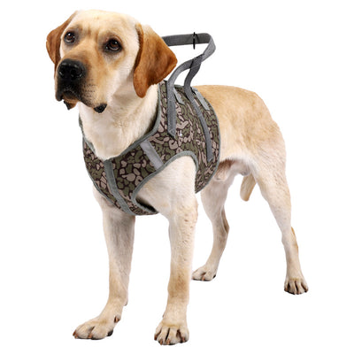 Arnés de Pecho Anti-Tracción para Perros Grandes - Cuerda de Control Talla Mediana - Image 10