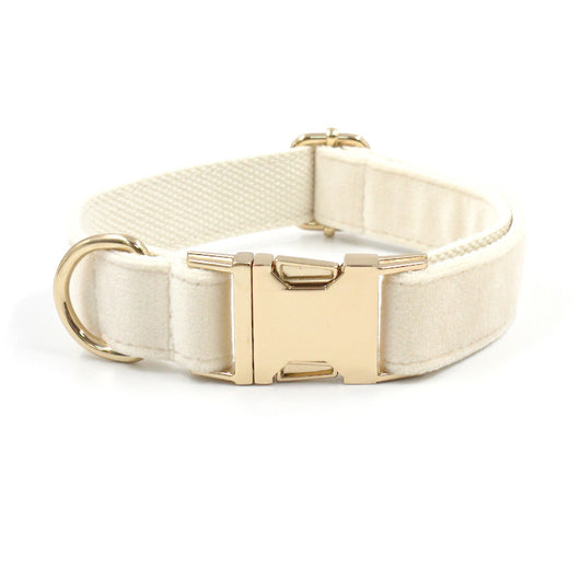 Collar para Perro Acolchado Crema con Hebilla Dorada - Image 20