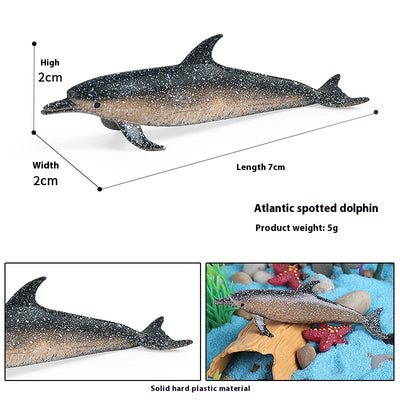 Juego Educativo de Animales Marinos Realistas para Niños - Image 58