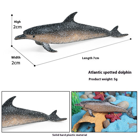 Juego Educativo de Animales Marinos Realistas para Niños - Image 58