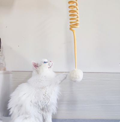 Juguete Interactivo para Gatos con Ventosa y Bola de Pelo - Image 25