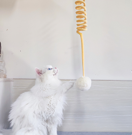 Juguete Interactivo para Gatos con Ventosa y Bola de Pelo - Image 25