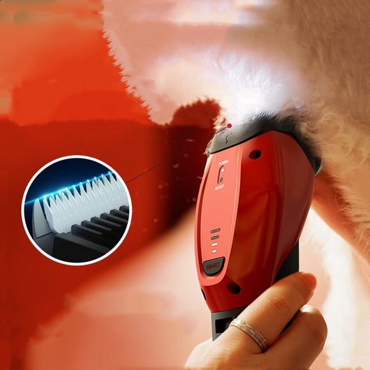 Cortadora Eléctrica Profesional para Aseo Felino de Alta Potencia - Image 3