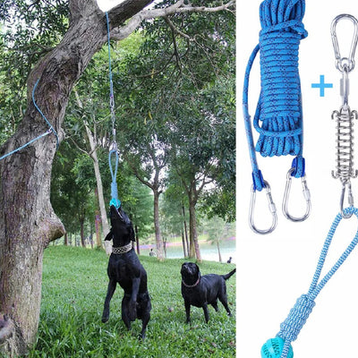Juguete Interactivo para Perro de Acero Inoxidable con Suspensión por Resorte