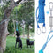 Juguete Interactivo para Perro de Acero Inoxidable con Suspensión por Resorte