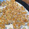 Champagne 16 Mm