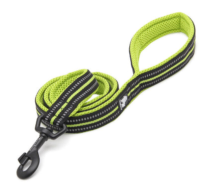 Correa de Seguridad para Perros con Sistema Anti-Pérdida - Image 14