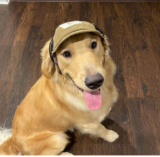 Gorra Protectora Solar para Perros Transpirable