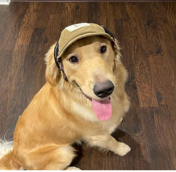 Gorra Protectora Solar para Perros Transpirable