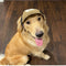 Gorra Protectora Solar para Perros Transpirable