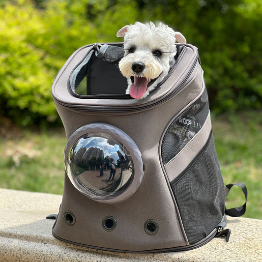 Mochila Transportadora para Perros y Gatos Medianos - Portátil y Cómoda - Image 2