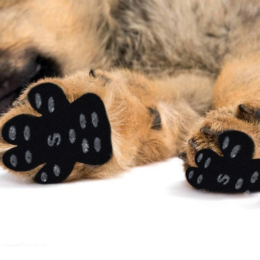 Almohadillas Antideslizantes Invisibles para Patas de Perro - Verano - Image 16