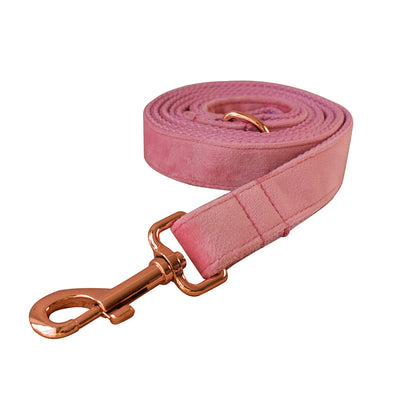 Collar para Perro de Plumón de Ganso con Hebilla Oro Rosa - Image 23