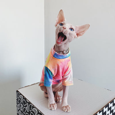 Ropa para Gatos sin Pelo Tie-Dye Arcoíris - Image 10