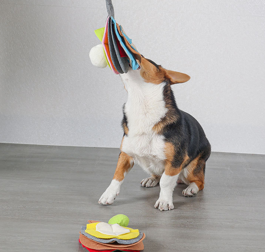 Juguete Interactivo Raqueta Ping-pong para Perros y Gatos