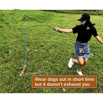 Juguete Interactivo para Perros con Cuerda de Algodón y Caña Tiradora - Image 12
