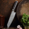 Cuchillo de Cocina Estilo Occidental con Acero Damasceno