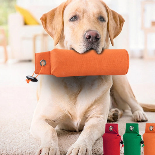 Juguete Descompresivo para Perros con Personalización