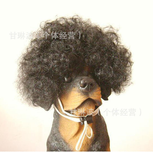 Adorno para Cabeza de Perro - Accesorios de Moda Canina - Image 4