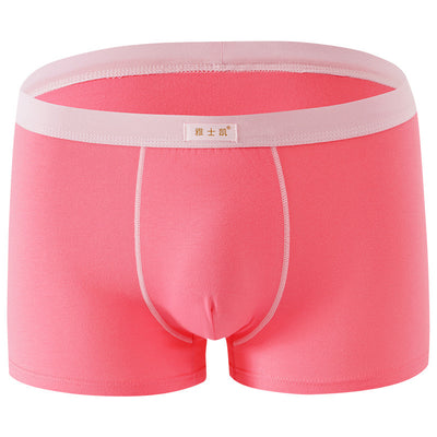 Shorts de Algodón Talla Grande Cómodos y Sensuales - Image 31