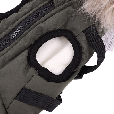 Abrigo de Algodón para Perros Bichon - Ropa de Otoño e Invierno con Correa - Image 21