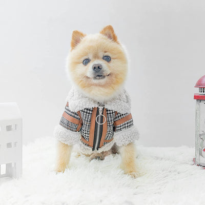 Abrigo Cuadrille para Mascotas - Invierno Cálido con Forro de Lana - Image 18